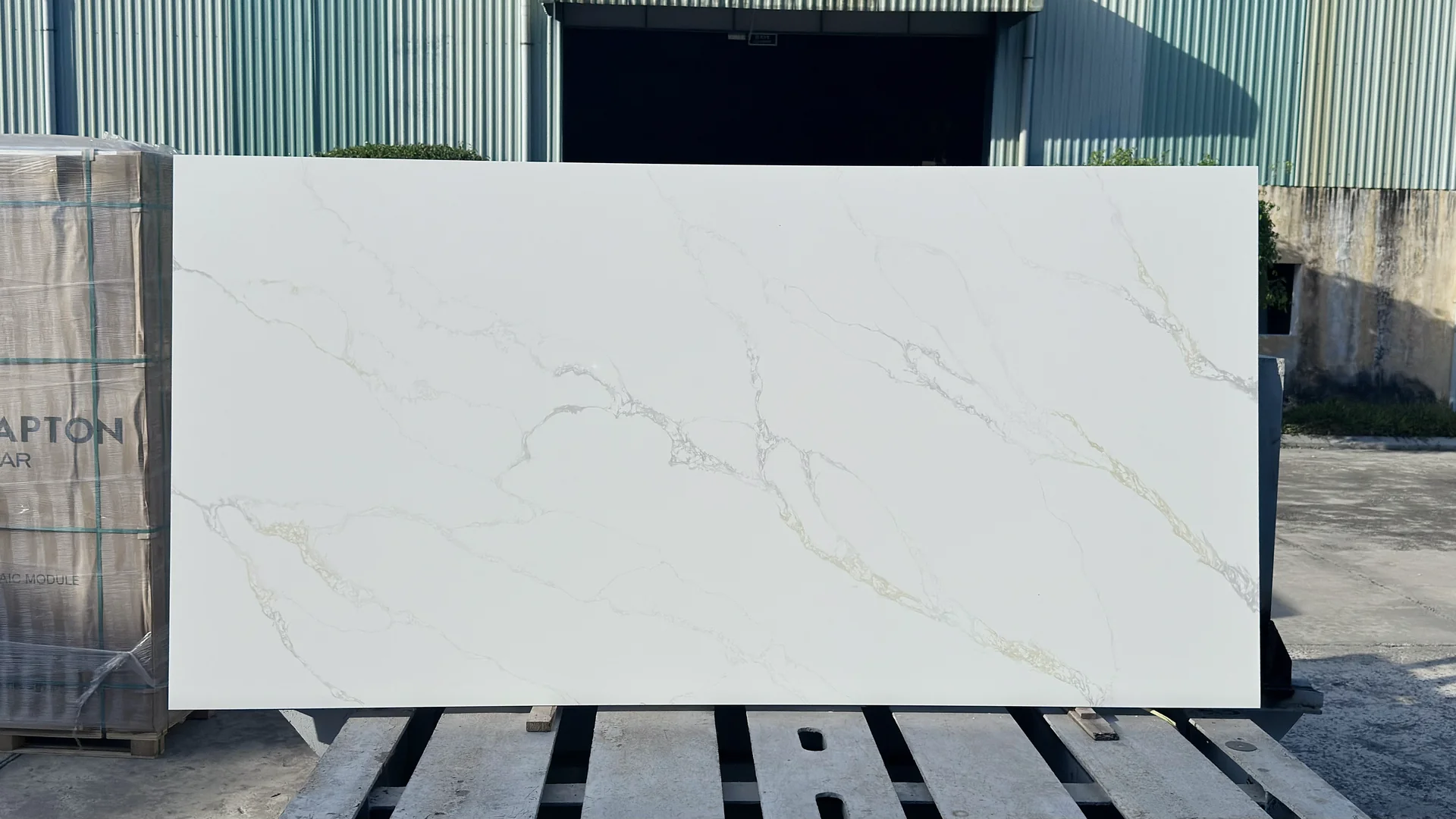 Calacatta Alaska Bianca Gold full slab showing its veining pattern