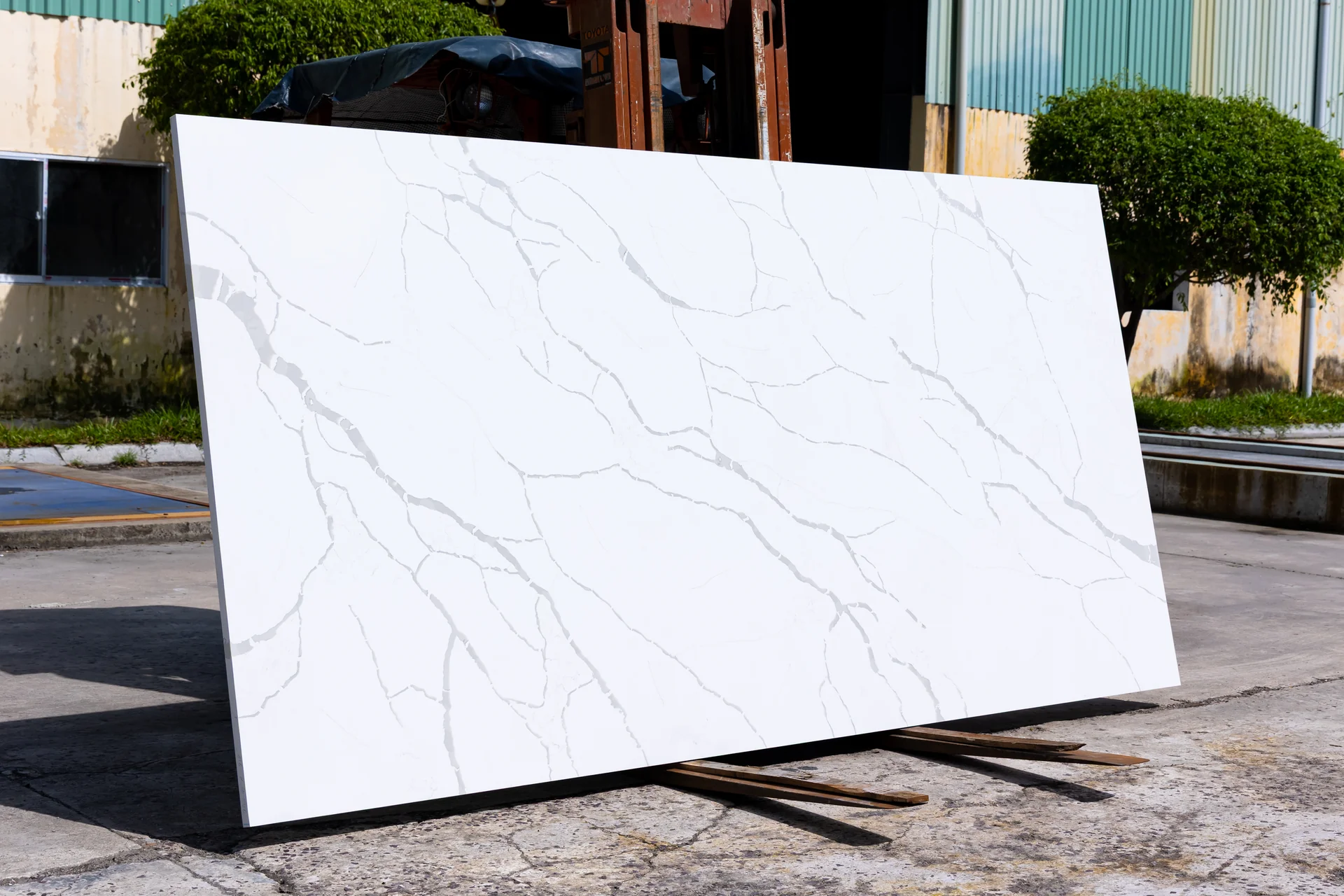 Calacatta Vega full slab showing its veining pattern